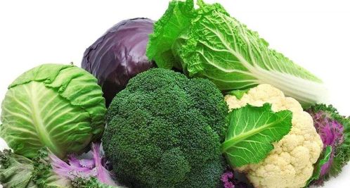 十大健康食品與垃圾食品 科學(xué)飲食的選擇指南